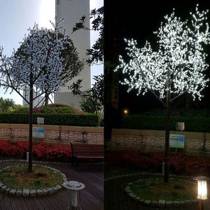 광주화정피에로아파트  LED벚꽃나무시공