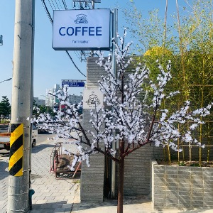﻿﻿LED 벗꽃나무 시공 포항 북부영일대 COFFEE FARM TALE