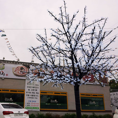 포항 장성동 곶간의돼지  LED벚꽃나무 시공